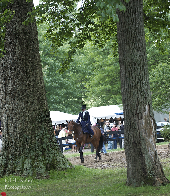 Under the Oaks